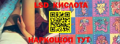 прущие грибы Кингисепп