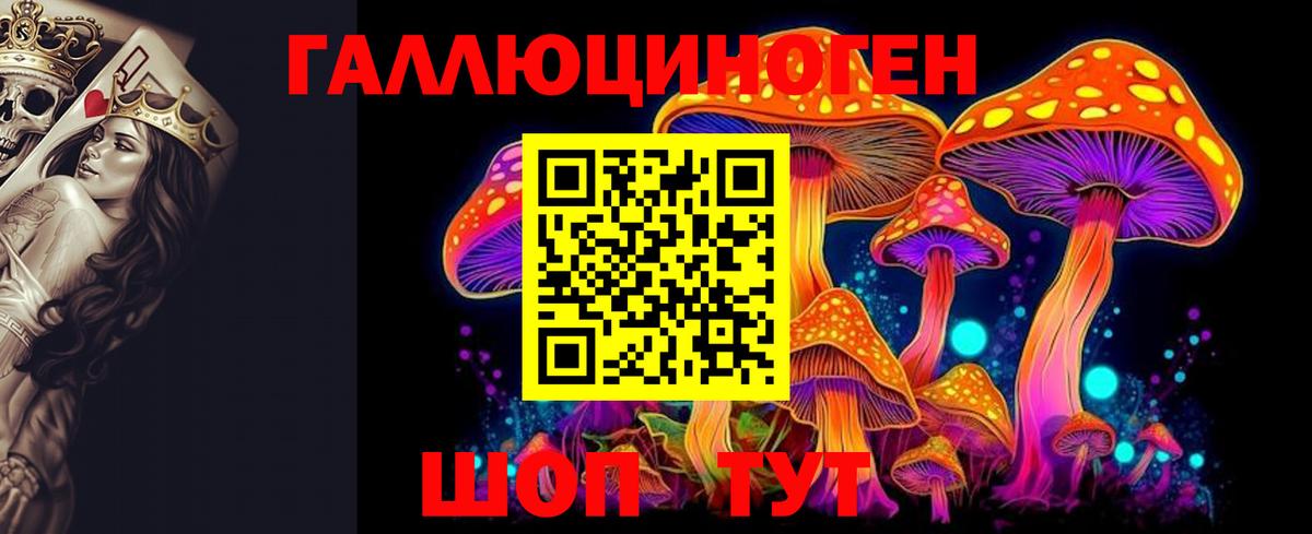 где купить наркоту  Псилоцибиновые грибы Psilocybe  Вход с VPN  Красный Сулин 