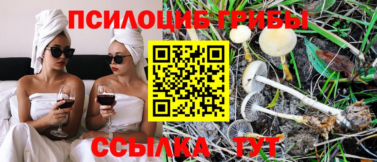 Псилоцибиновые грибы Magic Shrooms Красный Сулин