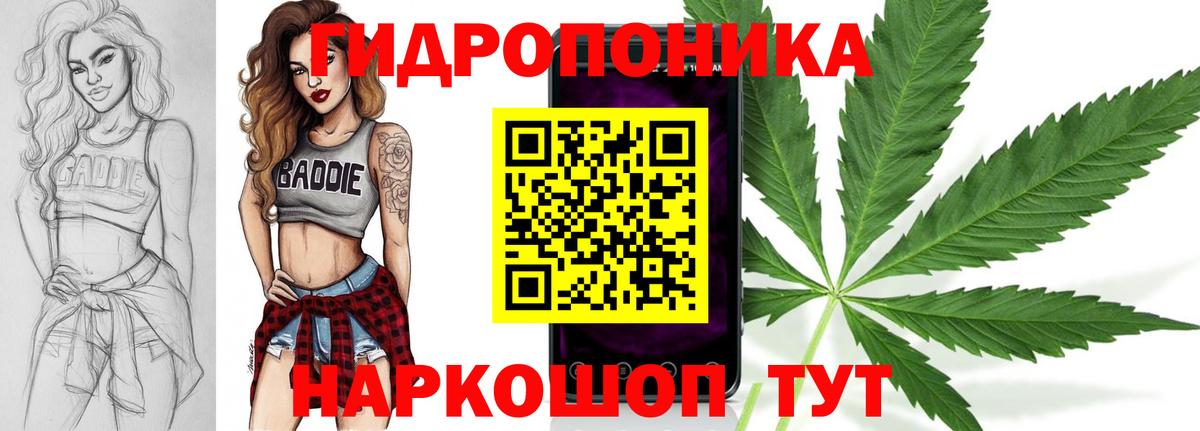 Марихуана SATIVA & INDICA  Конопля AK-47  Вход с VPN  Марихуана OG Kush  Красный Сулин  Каннабис SATIVA & INDICA 